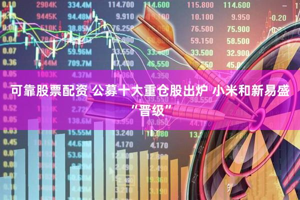 可靠股票配资 公募十大重仓股出炉 小米和新易盛“晋级”